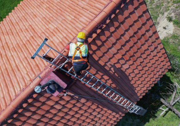 Best Roof Moss and Algae Removal  in Riverside, CT